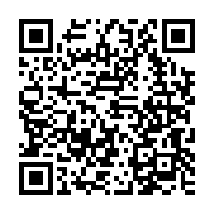 这不是公司又派了任务过来吗……回来整理一些文件过会还的走二维码生成