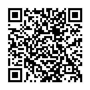 这不是大德鲁伊们口中半神明斯克最后给他们传递信息的地方吗二维码生成