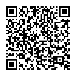 这不是抹煞你的作用…………只是大宋再没有一支白梃兵和胜捷军二维码生成