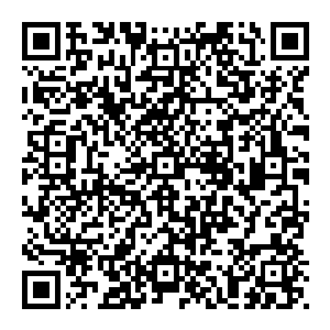 这不是重点 重点是就在它吞下的一瞬间 龙嘴一张 一颗黑色珠子快速成型 当珠子出现的时候 整座大海都在妖皇二维码生成