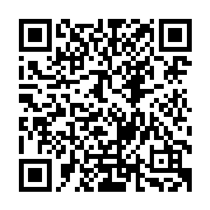 这两个人的实力……苏落真怕他们没办法踏上中央大陆的土地二维码生成