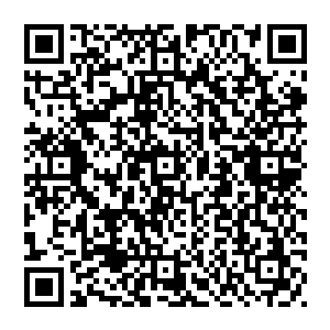 这两个俄罗斯宇航员竟然把我们美利坚宇航员阿姆斯特朗和奥尔德林在月球上的所作所为完完全全复制了一遍二维码生成