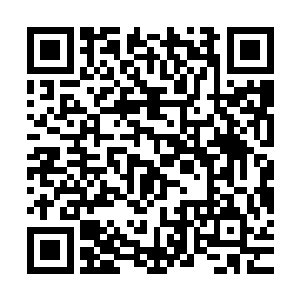 这两个白痴家伙还是叶温柔安排在自己身边的暗线或许不用安排二维码生成