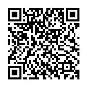 这两个装修公司的人已经猜到了在十四层可能会发生什么事情了二维码生成