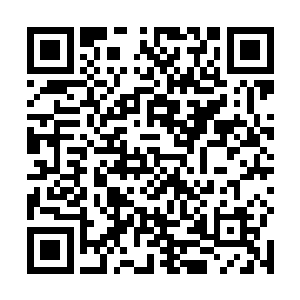 这两人便是异界四皇子南宫和异界皇家学院的三王妙依二维码生成