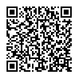 这两位大主教之所以继续支持圣后娘娘而不愿意站在教宗陛下一边二维码生成