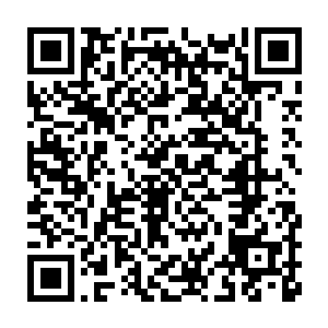 这两大使者便是另外两大王族王家和云家中类似独虎队组织的首领二维码生成