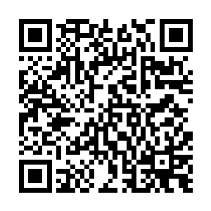 这两大杀招也是愤怒不愿意轻易动用这小家伙的原因之一二维码生成