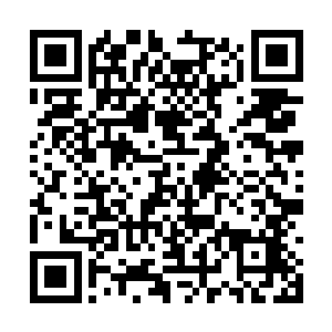 这两条雷龙和夏天之前使用的完全不是一个档次了二维码生成