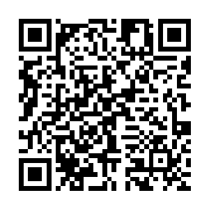 这个世上没有任何一种力量能阻止的了他们对这个世界的破坏了二维码生成