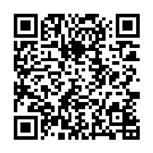 这个世界上不存在会飞行的蚕宝宝或者是毛毛虫一类的生物二维码生成