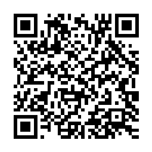 这个世界上原来真的有这样的修炼之人吗……爷爷的传说是真的二维码生成