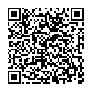 这个世界上绝对不存在什么会飞的蚕宝宝或者是毛毛虫之类的生物二维码生成