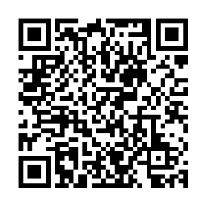 这个世界似乎在用特殊的方式在向自己隐约透露着另一段的命运二维码生成