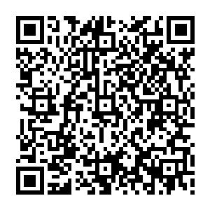 这个二十来人的团队也来不及在那么几秒钟决断作战计划中解释这么复杂的伏击计划二维码生成