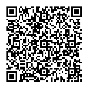 这个什么第一裁决所不过就是那些大家族为了给自己家族那些潜力股打造一个可以历练的环境和机会罢了二维码生成
