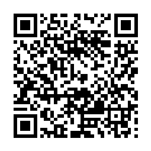 这个从小一起长大的远房表姐……居然早就算计上了叶家二维码生成