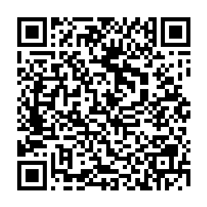 这个从小不知道省钱的富商小姐甚至花了一百枚金币给罗林准备了一套全钢重甲二维码生成