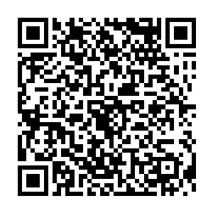 这个你也应该知道血统的尊贵程度也是决定着传承记忆的丰富程度吧二维码生成