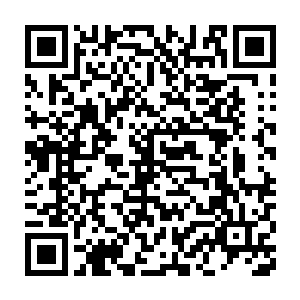这个倒是没错……可你们不能看在数十亿美元的份上相互将就一下二维码生成