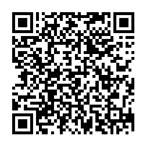这个公认的华夏革命军第一师经过了张一虎与蒋百里两任师长的全力发展二维码生成