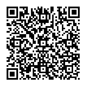 这个共商大计的会议估计可能有超过一百多个全球各地的伊斯兰极端组织派人前往二维码生成