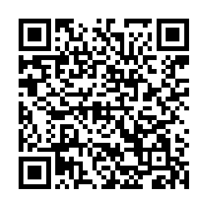 这个办法就是不用麻烦领导们再研究撤销对我的任命了二维码生成