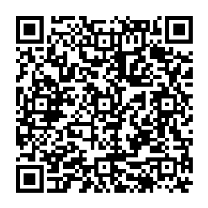 这个动作让苏澈避无可避地看到了安齐远腿间挂着的那一大坨面容狰狞的可怖凶器二维码生成