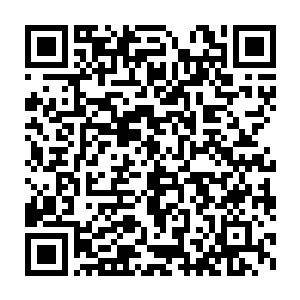这个发现让最后站在旺达镇的俩姑娘难得的一人抓一条手臂给巴克撒娇二维码生成