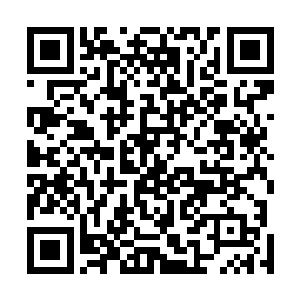 这个基地横向的走廊和纵向的走廊数量分别是单数和双数二维码生成