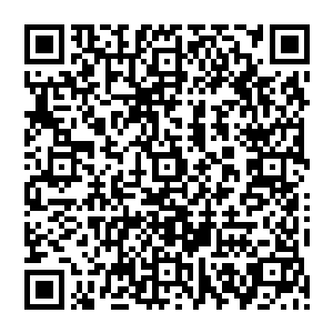 这个女人看他的眼神总让他有一种在黑炎城被街坊的大妈看到没有拉裤子拉链就跑出家门的感觉二维码生成