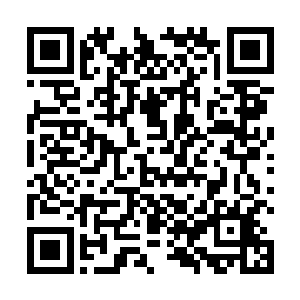 这个家伙住的地方就在学校里……操场口的一排矮房子二维码生成