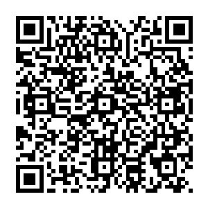 这个家伙到底是和巨狼有仇还是像奥劳拉所说的一样是一个所谓的守护之神教派的虔诚信徒二维码生成