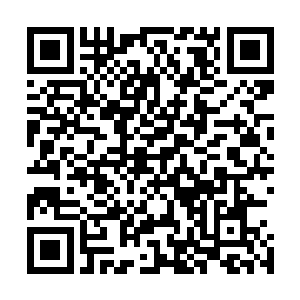这个家伙看见杨洛冰冷的眼神硬生生把没说完的话咽了下去二维码生成