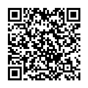 这个巨大的变动主要还是要从天煞盟上次的行动说起二维码生成