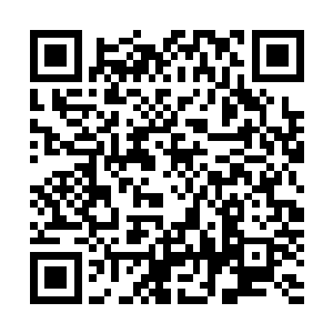 这个年轻人的实力……恐怕已经差不多达到他们这种境界了二维码生成