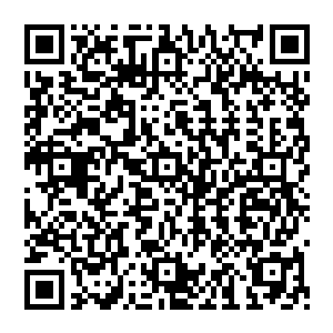 这个散灵阵会根据绝天爆灵阵汇聚的灵气的浓郁程度而对布置阵法的材料和武器有不同的要求二维码生成