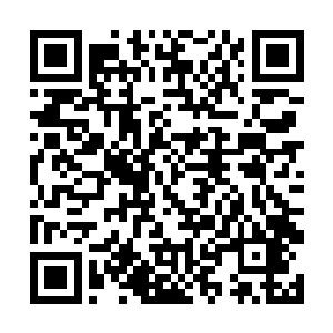 这个数值几乎和罗楼刚才展现出来的数值相差了一倍二维码生成