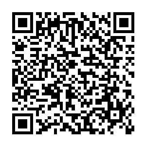 这个时代在很多条路上都对才踏入社会的年轻人设置了重重的障碍二维码生成