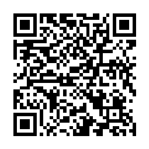 这个时候他们也已经看到了大殿之内数十个修士身上的伤痕二维码生成