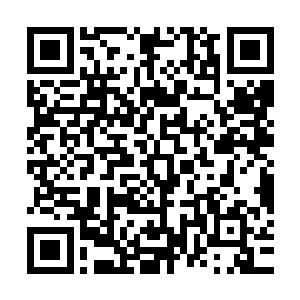 这个时候他的这些家族兄弟们已经没有什么羡慕嫉妒恨的心情了二维码生成