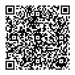 这个时候巨人族族长已经亟不可待地将神识透射进入到储物戒指内开始用巨人族独有的方法破解封印二维码生成