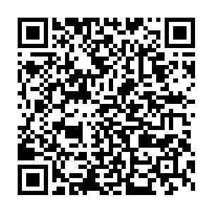 这个时候那些旁门弟子被震惊得已经忘记了他们现在不在是旁门弟子二维码生成