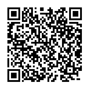 这个曾经在家族内敢一巴掌把姨娘打得半死的洪狠子只能是有一说一二维码生成