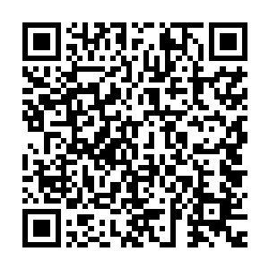 这个月我还会爆发的说什么也要回报战友们的支持你们是最极品的战友二维码生成