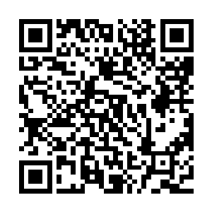 这个机械族神灵是在跟一位不死族神灵进行生死之战后才陨落的二维码生成