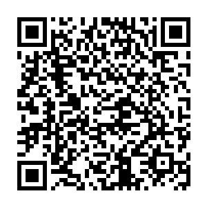 这个杨少也确实是杨家的人……只不过他这个杨跟人家那个杨是同一个字二维码生成
