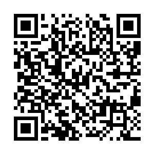 这个标志和自己现在用的手机标志不是一模一样吗二维码生成