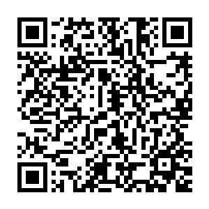 这个格拉克罗多人如树根一样的双脚上那无数根根须一瞬间扎进地面二维码生成