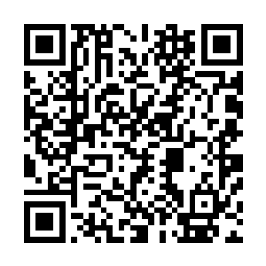 这个档次的宝船在天城已经算是比较上等的商用奢华大船了二维码生成